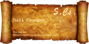 Sall Csongor névjegykártya